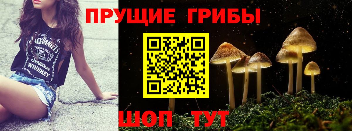 Псилоцибиновые грибы Magic Shrooms Донецк